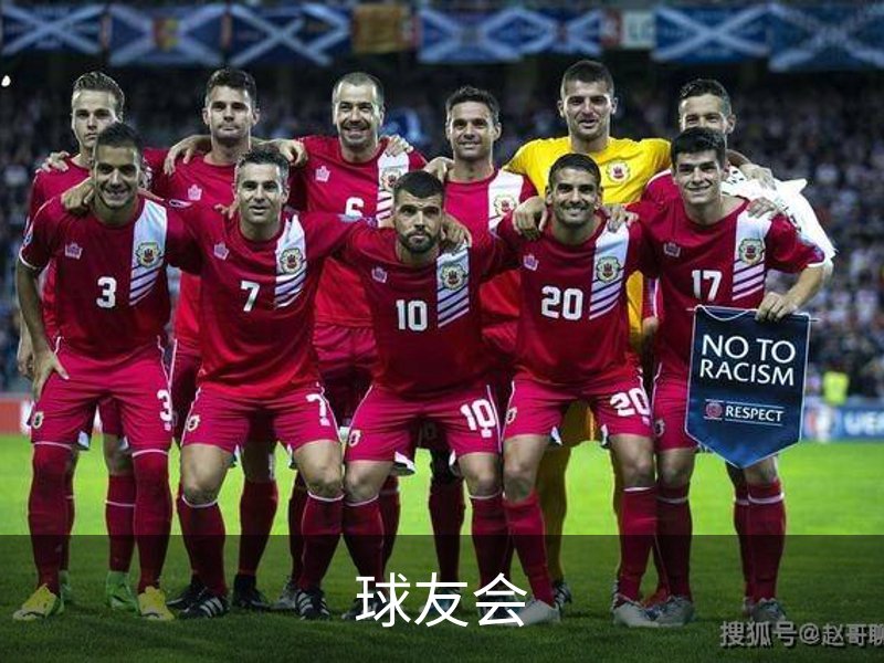 球友会概况